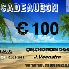 Cadeaubon Teeninga palmen kadokaarten 100 euro