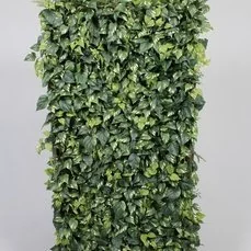 groene wand Tweezijdige Groene Wand 90x35x190cm met Epipremnum