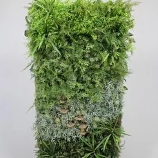 groene wanden Tweezijdige Groene Wand 90x35x190cm Gemixte Planten