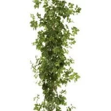 kunstplanten kwantum Cissus plant