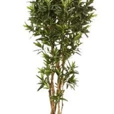 kunstplanten hornbach Croton goldfinger reflexa