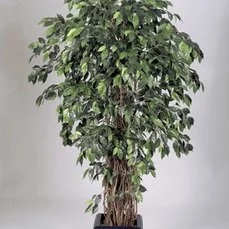 kunstplanten action Ficus liana De luxe