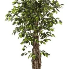 kunstplanten hangend Ficus liana De luxe