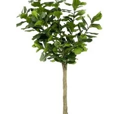 kunstplanten hornbach Ficus lyrata In plastic pot 184 lvs