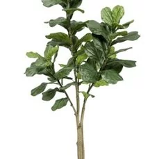 kunstplanten kunstplanten praxis Ficus lyrata In plastic pot 65 lvs