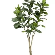 kunstplanten action Ficus lyrata In plastic pot 68 lvs