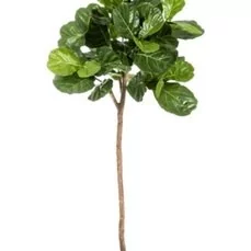 kunstplanten groothandel Ficus lyrata Single trunk wpot