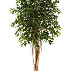 kunstplanten kwantum Ficus retusa