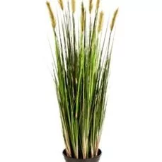 kunstplanten xenos Grass reed Creambrown