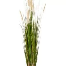 kunstplanten kwantum Grass reed Wcreambrown fl