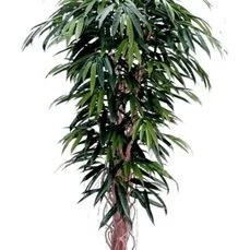kunstplanten hangend Longifolia liane de luxe Toef
