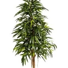 kunstplanten groothandel Longifolia royal natural