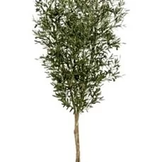 kunstplanten action Natural olive Tree