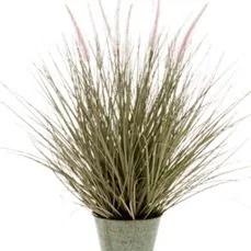 kunstplanten xenos Pennisetum grass In zinc pot