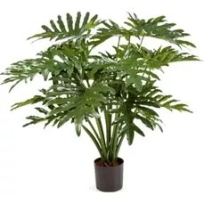 kunstplanten hornbach Philodendron Selloum 50