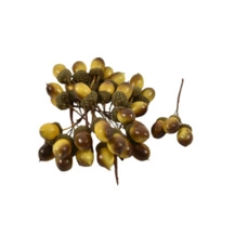 herfst artikelen cb. 36 acorn/wire light brown 25 mm