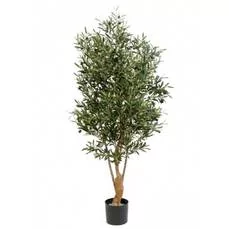 kunstboom huren 180 cm - Binnen olijfboom Kunst olea olijven dikke stam Twisted