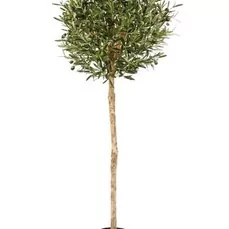 kunstbomen kopen kunstbomen groothandel 140 cm Kunst Olea Olijf in bolvorm met olijven