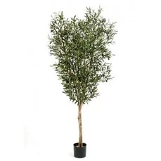 kunstboom magnolia 120 cm - Binnen olijfboom Kunst olea olijven