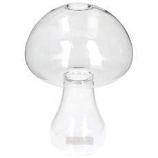 herfst Vase Mushroom Glass Clear 12.5x12.5x17.5cm