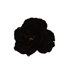 Velvet rose head with clip black