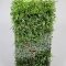 groene wanden Tweezijdige Groene Wand 90x35x190cm Gemixte Planten