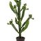 kunstplanten kwantum Euphorbia cactus