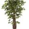 kunstplanten hornbach Ficus liana De luxe
