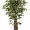 kunstplanten xenos Ficus liana De luxe