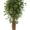 kunstplanten hangend Ficus liana exotica De luxe