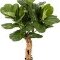 kunstplanten kwantum Ficus lyrata Forest trunk wpot