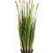 kunstplanten groothandel Grass foxtail Wgreen fl