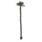 winterharde palm trachycarpus 800 CM STAM