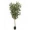 kunstplanten praxis 150 cm - Binnen olijfboom Kunst olea olijven