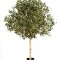 kunstbomen kopen kunstbomen groothandel 180 cm Kunst Olijfboom met een dikke stam en een grote bladerkroon