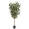 kunstboom magnolia 120 cm - Binnen olijfboom Kunst olea olijven